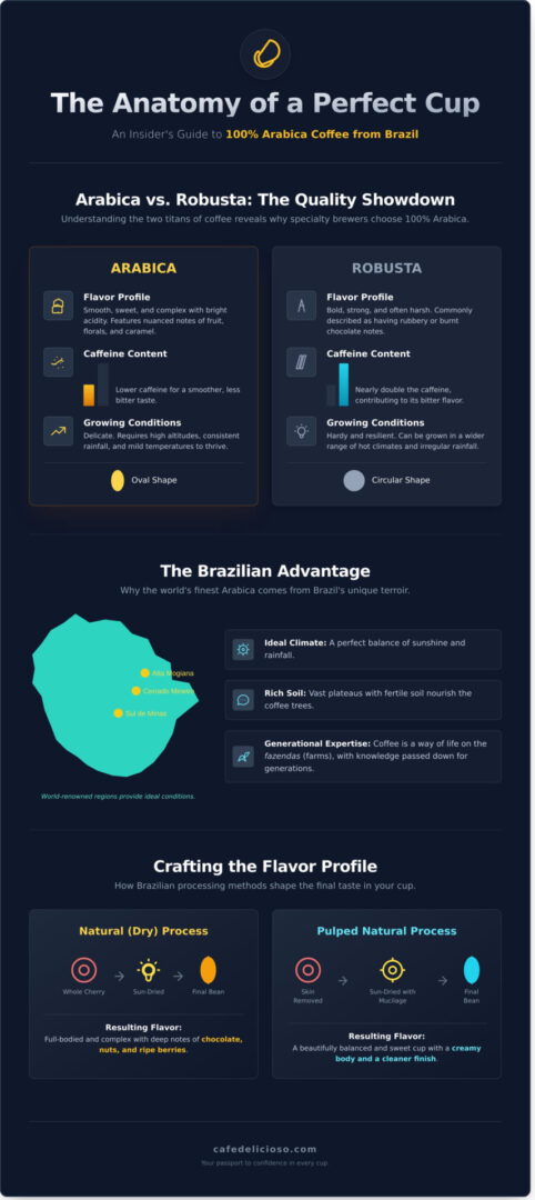 100% Arabica Coffee From Brazil: Your Guide to the Perfect Cup