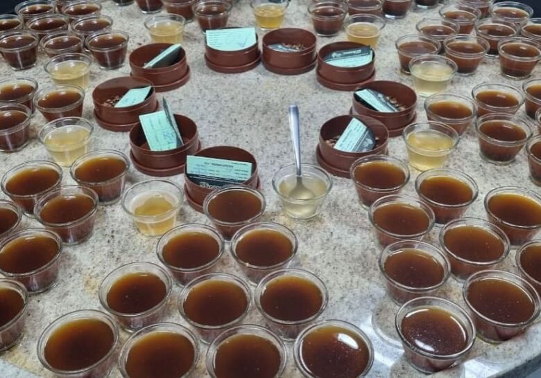 A table filled with cups of chocolate pudding.